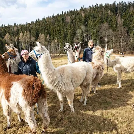 Neubichler Alm * Piding
