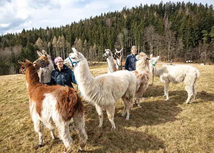 Neubichler Alm * Пидинг